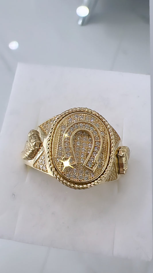 Anillo De Hombre De Herradura Y Alazanes 10K